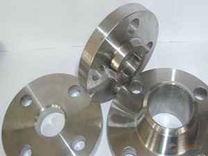 Stainless Steel Forged Flange SS310